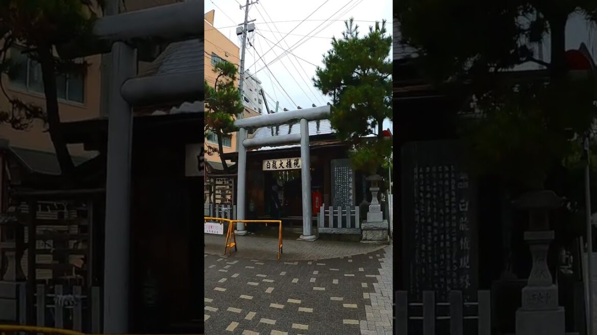 Shrine in Middle of City Market in #Japan #shorts #shortsvideo