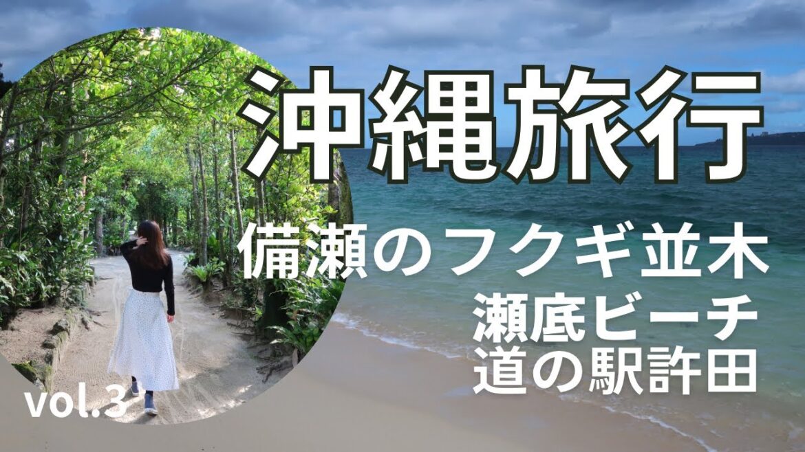 【沖縄旅行vol.3】冬の沖縄🛩2泊3日夫婦2人旅🏝3日目その1【2022.12】備瀬のフクギ並木でキックボードをレンタル🛴小径の先の絶景やオシャレカフェのスイーツ、道の駅許田のお店の紹介 【沖縄旅行vol.3】冬の沖縄🛩2泊3日夫婦2人旅🏝3日目その1【2022.12】備瀬のフクギ並木でキックボードをレンタル🛴小径の先の絶景やオシャレカフェのスイーツ、道の駅許田のお店の紹介