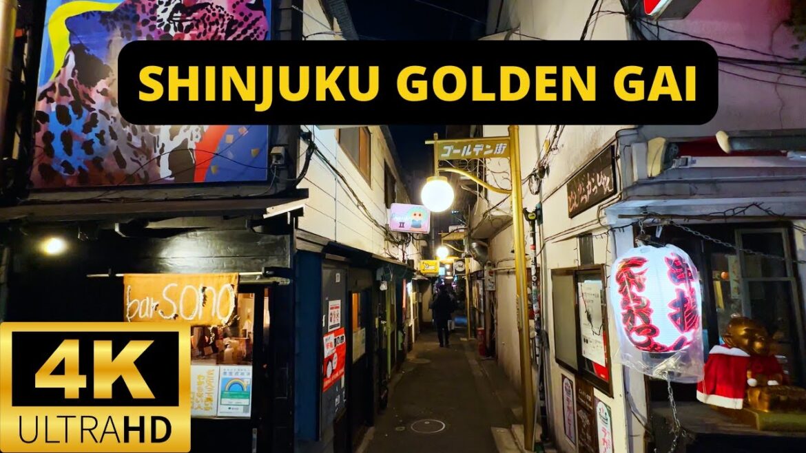 TOKYO, JAPAN 🇯🇵 [4K] SHINJUKU — Kabukicho Golden Gai — Walking at night — DECEMBER 2022