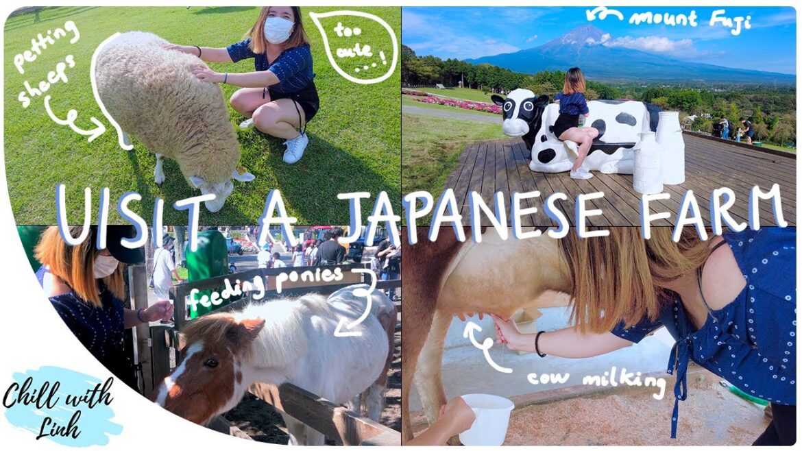 Day in The Life on a Japanese Farm | Makaino Farm | Japan Travel Vlog