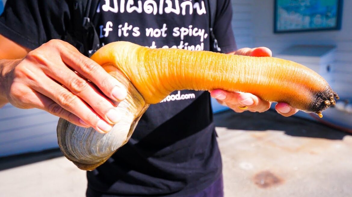 Eating a GIANT GEODUCK in Washington! | Exotic Seafood! Eating a GIANT GEODUCK in Washington! | Exotic Seafood!