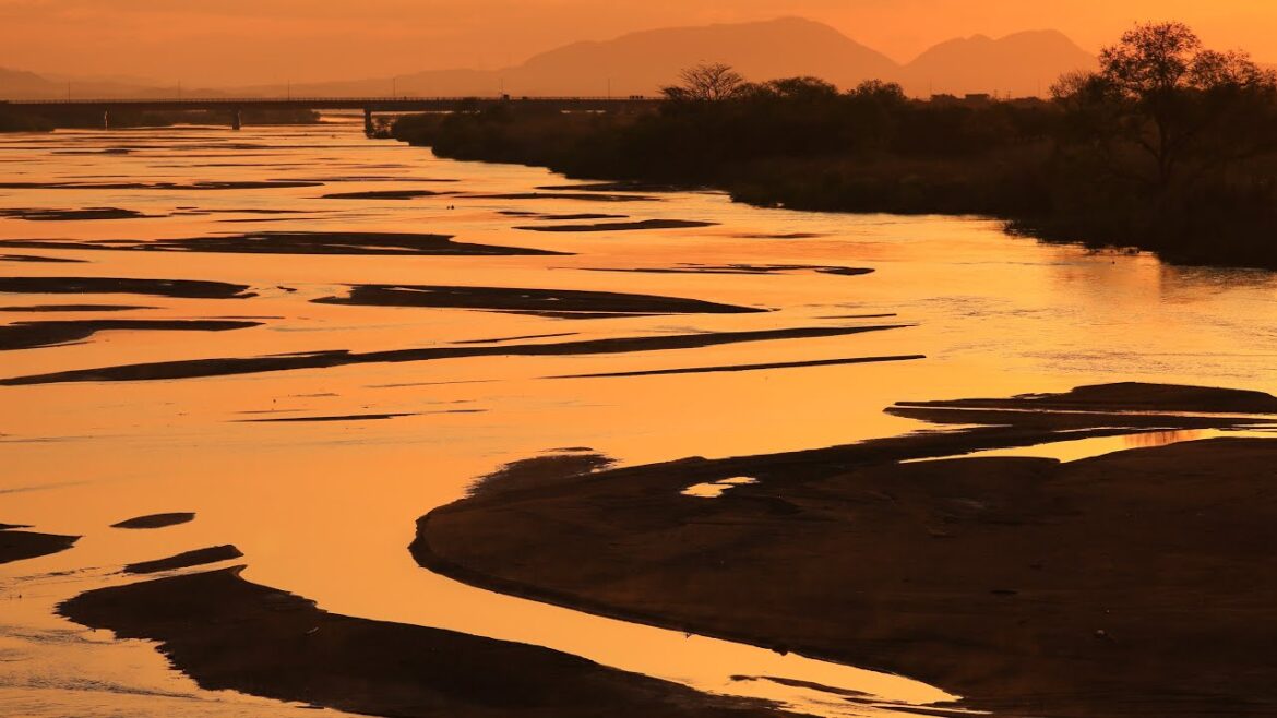 【Japan 1minute Travel SHIMANE Izumo】島根 出雲 斐伊川（朝日に黄金色に染まる斐伊川）