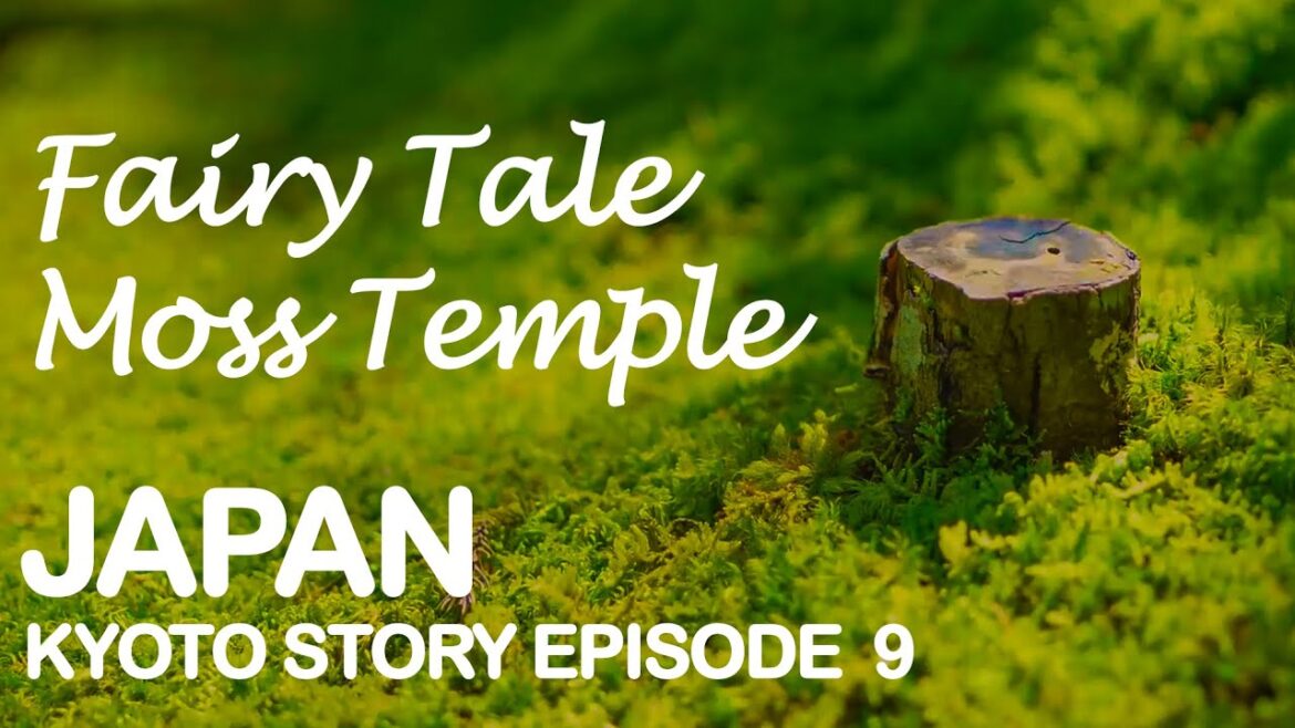 The most peaceful place in Kyoto, Moss Temple (Kokedera), Saiho-ji, Japan, Kyoto UNESCO WHS Ep. 9