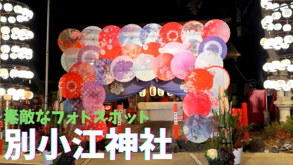 一度は行くべき和傘に彩られたインスタ映えする【別小江神社】名古屋市北区#映えスポット#別小江神社 #4k #神社 #お正月 #2023 一度は行くべき和傘に彩られたインスタ映えする【別小江神社】名古屋市北区#映えスポット#別小江神社 #4k #神社 #お正月 #2023