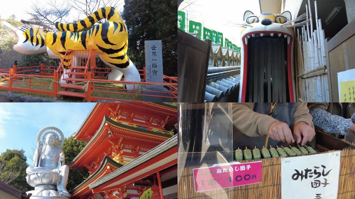 #003｜A temple with the world's luckiest big tiger [Chogosonshiji Temple] (Nara)