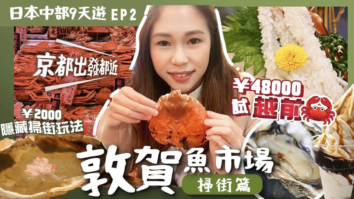 【日本中部】EP2敦賀：京都1小時到敦賀魚市場掃街🤤！北陸限定天堂美食😇越前蟹🦀¥2000換４樣美食．窮遊一樣平食平買｜敦賀交通介紹｜福井｜昇龍道｜關西周邊景點｜日本北陸｜日本自由行｜日本旅行