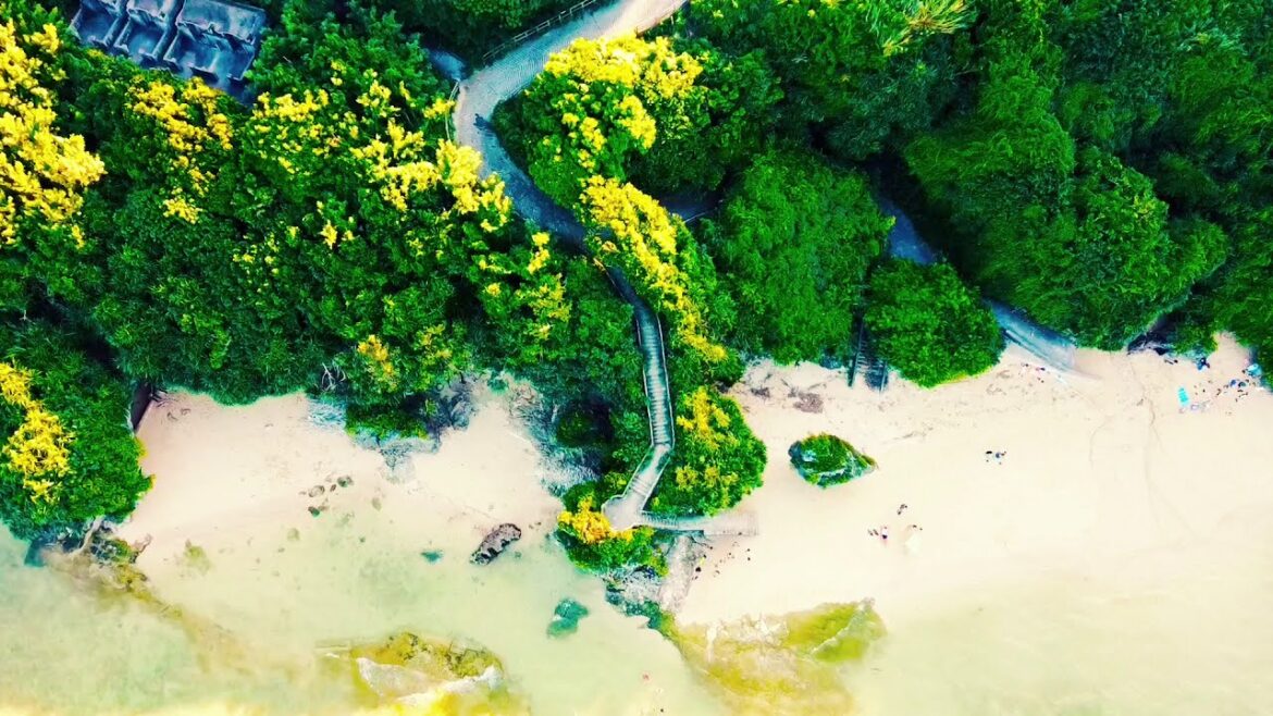 DJI Mavic Mini Drone in Okinawa