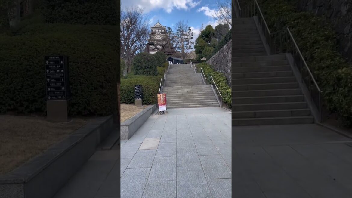 ふくやま美術館から見た福山城 #福山市 #福山アンバサダー #fukuyama #japan #cooljapan  #福山城 #福山城博物館 #福山城築城400年 #shorts ふくやま美術館から見た福山城 #福山市 #福山アンバサダー #fukuyama #japan #cooljapan  #福山城 #福山城博物館 #福山城築城400年 #shorts