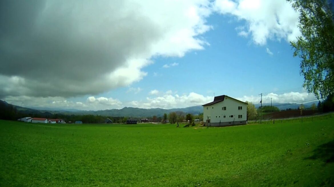 ニセコ　高橋牧場　ミルク工房