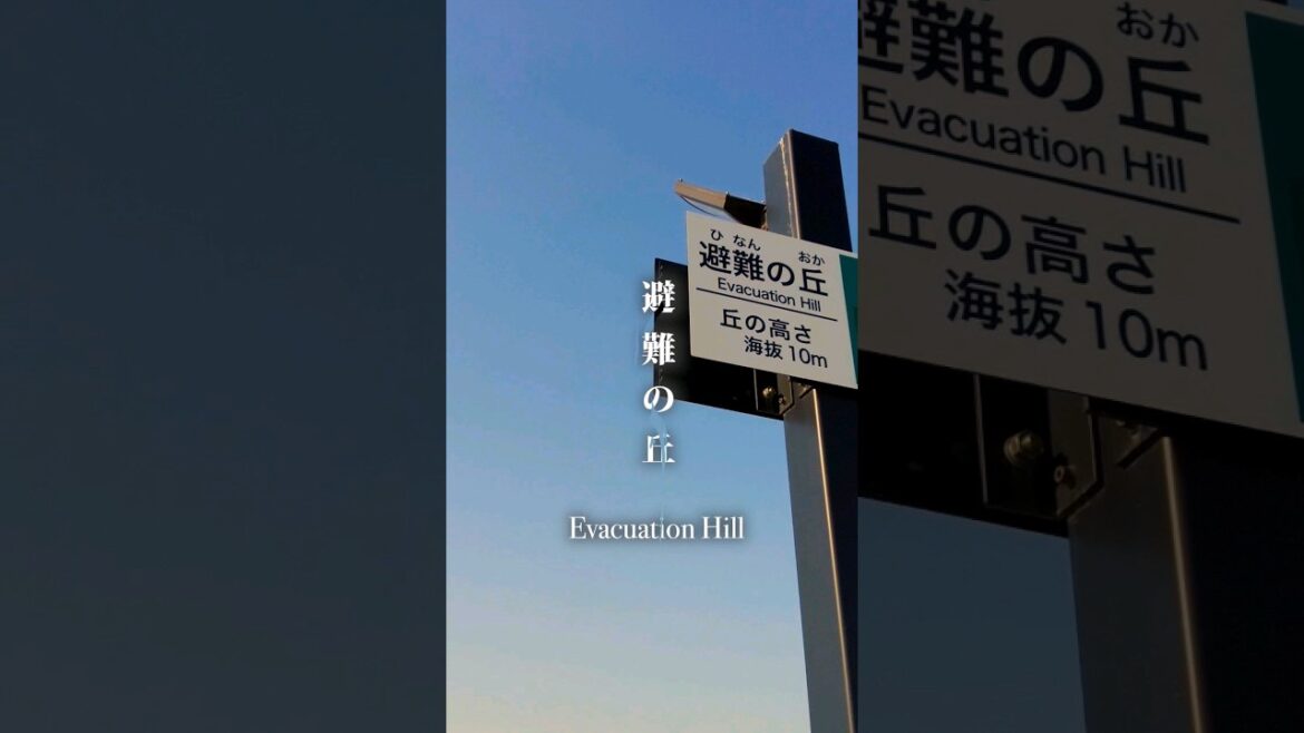 何もなき『避難の丘』の上へ  / Japan Walk - The empty hill  #shorts