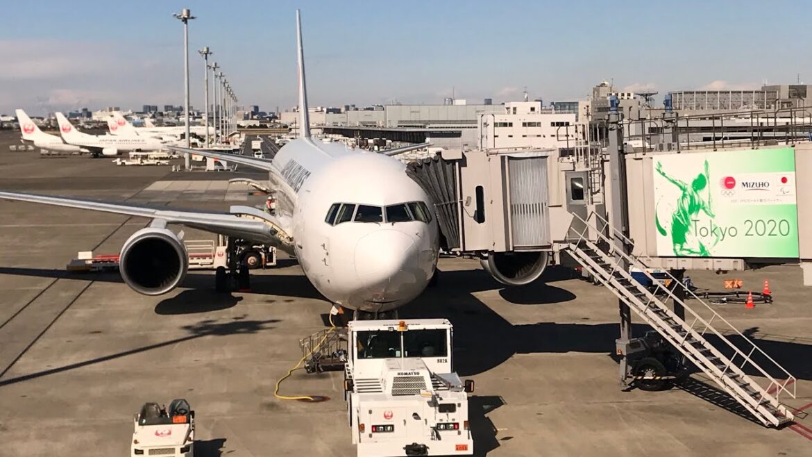 Tokyo’s Haneda Airport Domestic Terminal w/ Bento Experience Tokyo’s Haneda Airport Domestic Terminal w/ Bento Experience