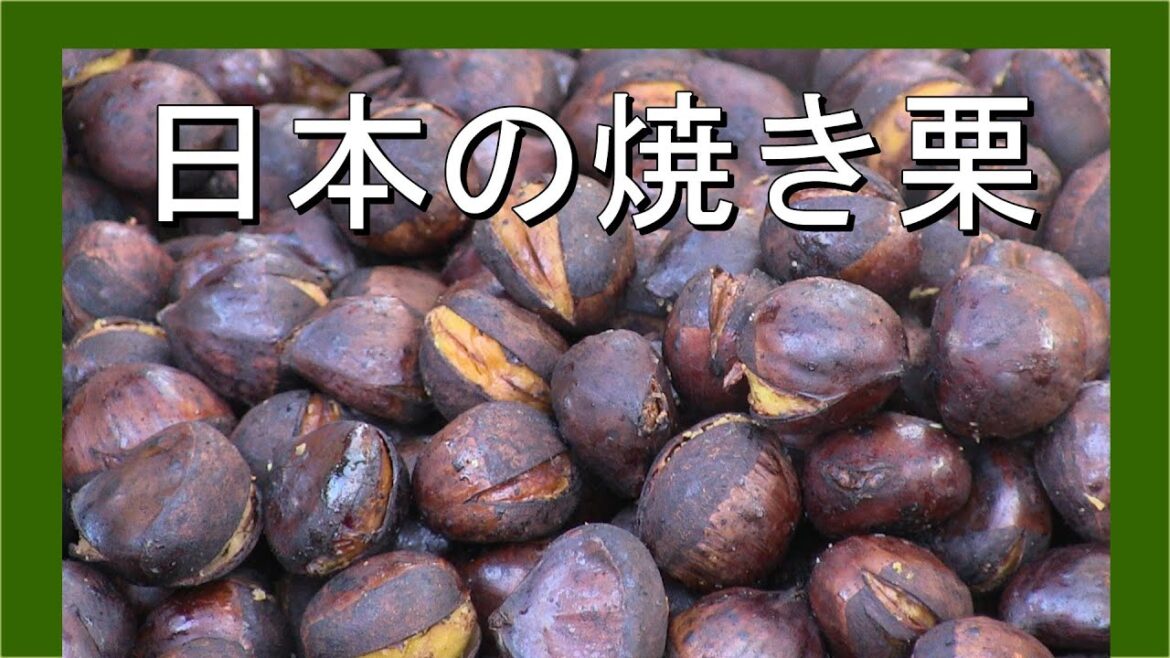 Japanese roasted chestnuts 日本の焼き栗 – Walking in Japan 日本でのウォーキング Japanese roasted chestnuts 日本の焼き栗 - Walking in Japan 日本でのウォーキング