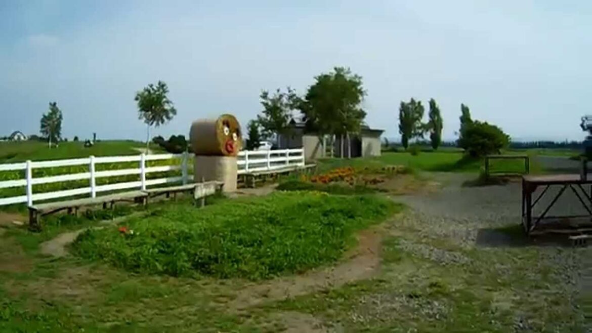 美瑛　新栄の丘展望公園