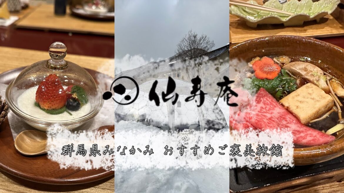 【露天風呂付き客室】群馬県みなかみの温泉宿、別邸仙寿庵！北関東屈指の最高級宿でおこもりステイ