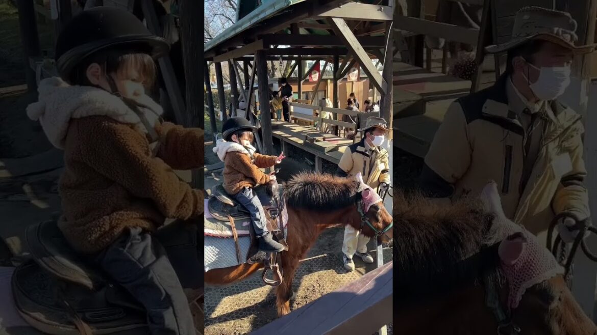 Fazendinha de fuji, MAKAI NO BOKUJYOU (まかいの牧場)Vale muito a pena levar a criançada lá!!