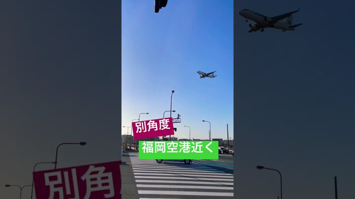 福岡空港近く✈️ #vlog #しらたきWalker