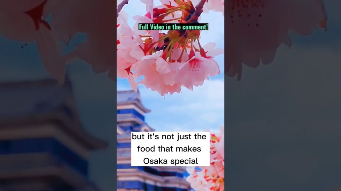 Best places to visit in Osaka Japan – Travel Video #shorts Best places to visit in Osaka Japan - Travel Video #shorts