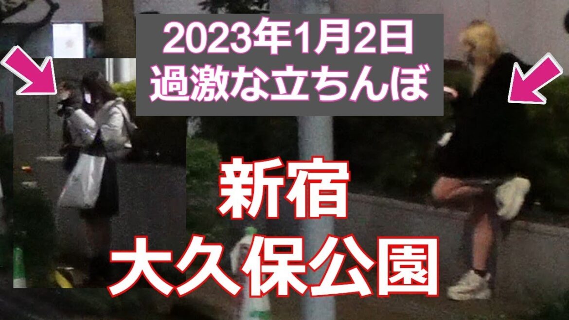 【放送事故】夜の新宿大久保公園を散歩… nightwalk in Shinjuku【4K】 【放送事故】夜の新宿大久保公園を散歩… nightwalk in Shinjuku【4K】