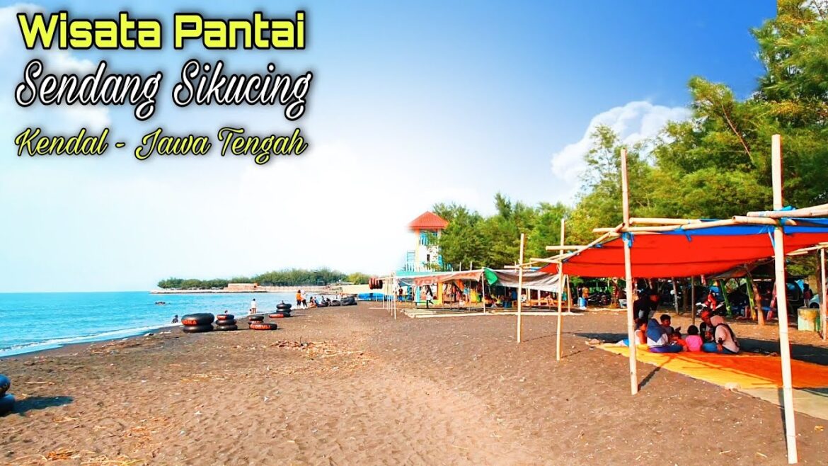 SUASANA BARU…!!! Di Pantai Sendang Sikucing Kendal Jawa Tengah SUASANA BARU...!!! Di Pantai Sendang Sikucing Kendal Jawa Tengah