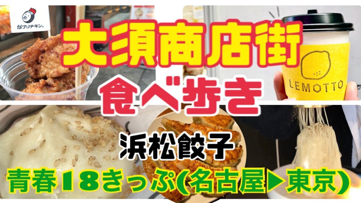 【名古屋】大須商店街で食べ歩き&青春18きっぷの旅(名古屋→東京)✳︎浜松餃子むつぎく