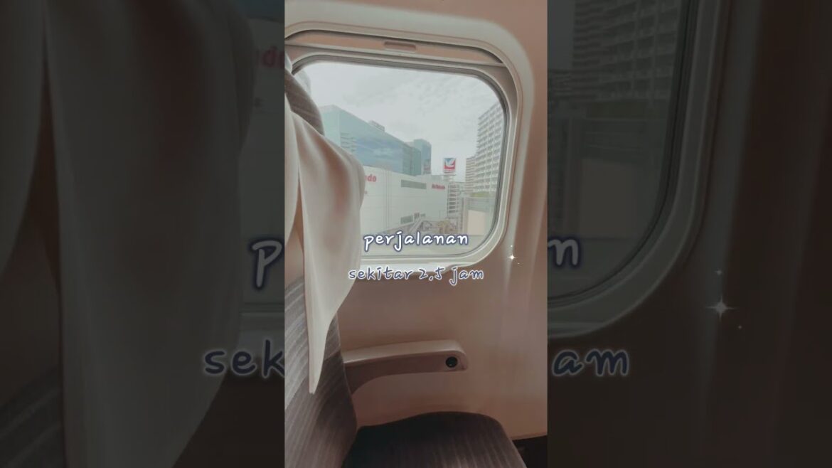 How I go to Japan! vlog pt.3 #short