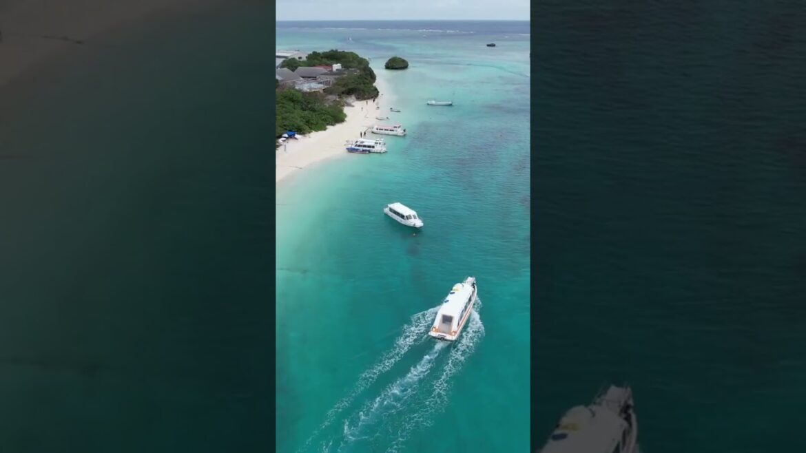 Beautiful Japan in 30 Seconds #shorts #japan #travel Beautiful Japan in 30 Seconds #shorts #japan #travel