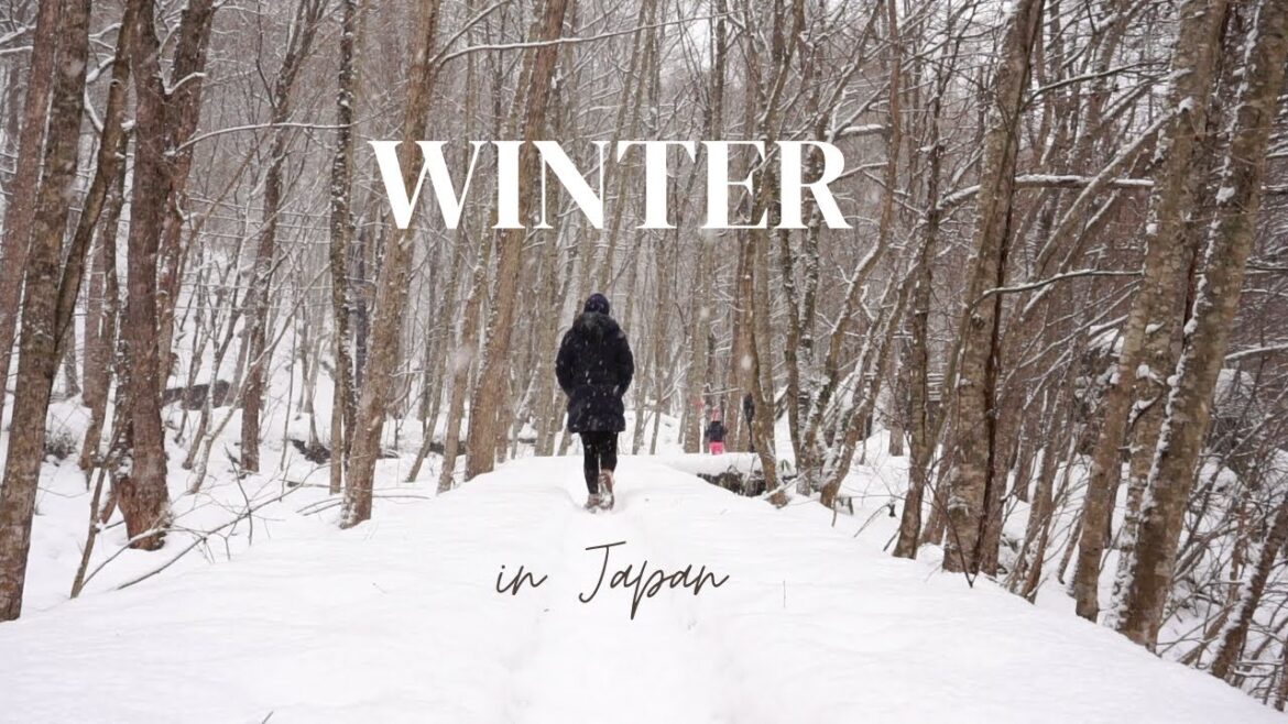 #7 Winter in Aomori, Japan | Snow adventures through Oirase's river, forrest, and old wooden bridges