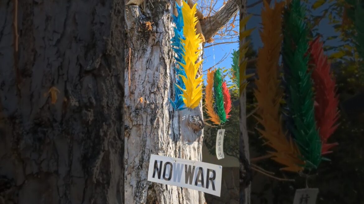 A-bomb survivor trees in Hiroshima near the train station