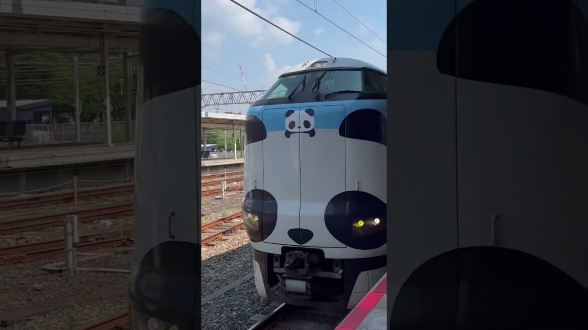 Express train to Osaka from Wakayama