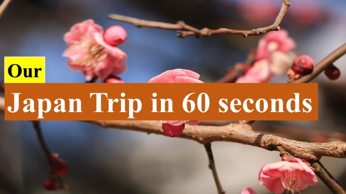 Japan trip in 60 seconds | Explore with DD