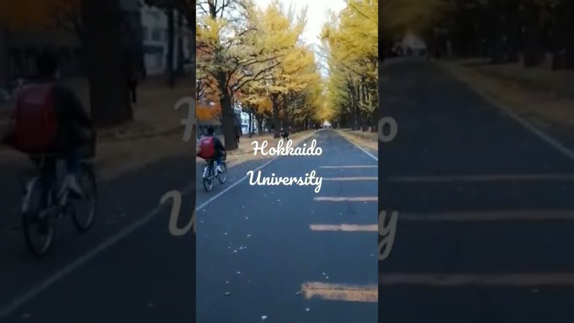 Autumn in Japan #japan #hokkaido #sapporo #youtubeshorts