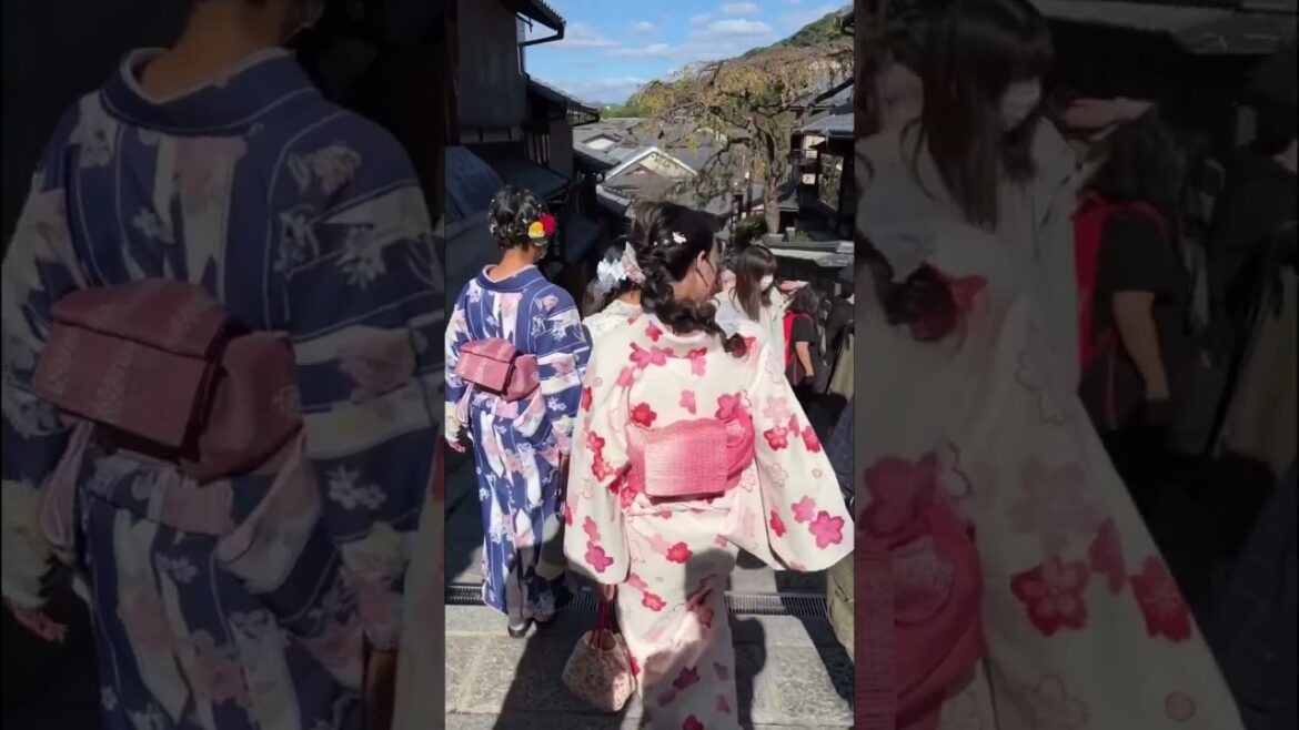 Is Kyoto on your bucket list? π―π΅π―| Japan Travel | Kyoto Vlog Is Kyoto on your bucket list? π―π΅π―| Japan Travel | Kyoto Vlog