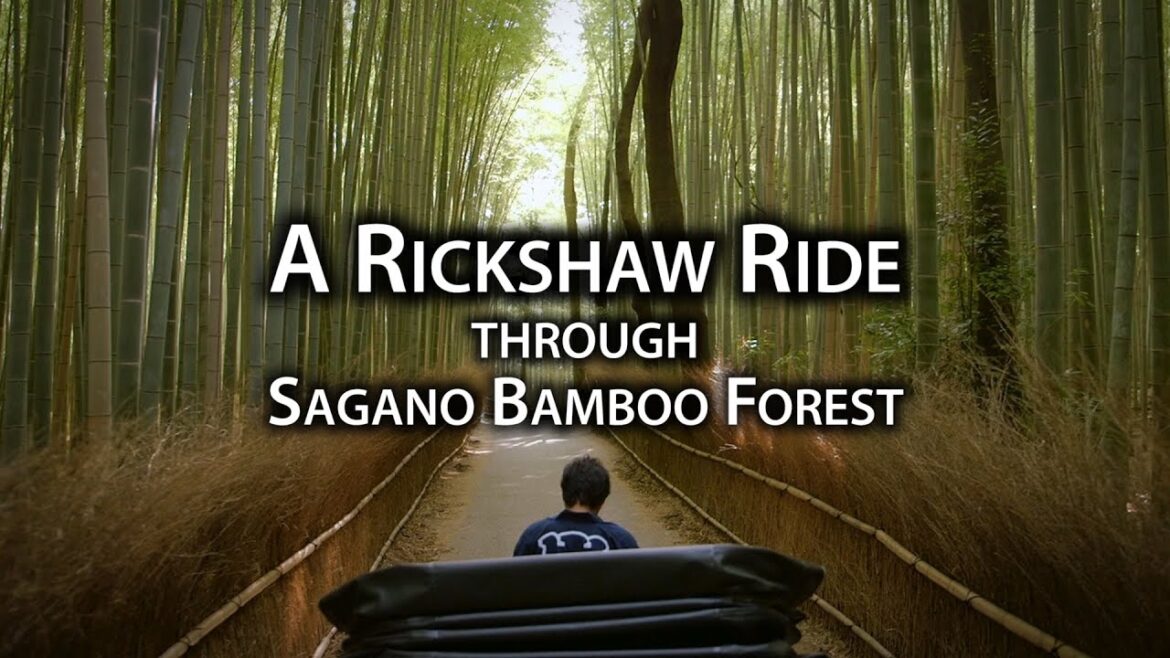 Places to Go: Sagano Bamboo Forest (Chikurin) Places to Go: Sagano Bamboo Forest (Chikurin)