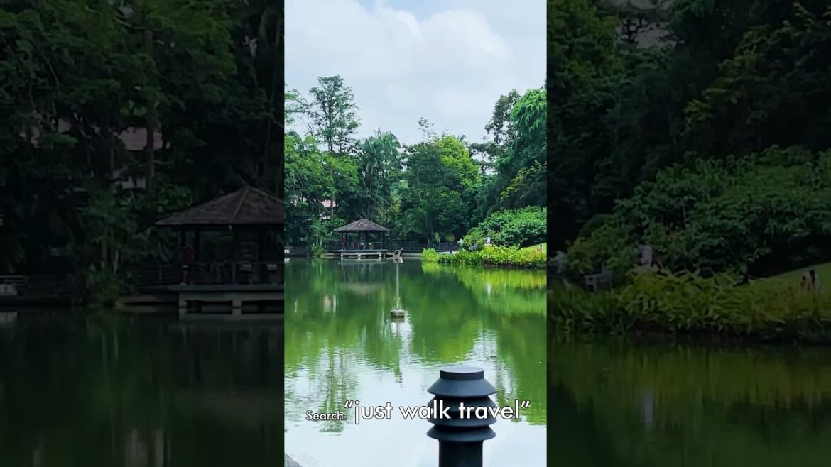 Singapore Walk – Botanic Gardens (Preview) Singapore Walk - Botanic Gardens (Preview)