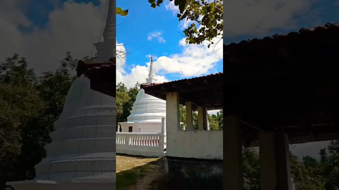 travel places mountains tour❤️ sri lanka  #shorts #youtubeshorts #vairal