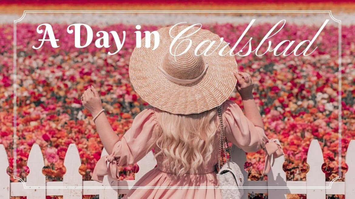 Southern California Travel Vlog | Mission San Juan Capistrano & The Flower Fields Carlsbad Southern California Travel Vlog | Mission San Juan Capistrano & The Flower Fields Carlsbad