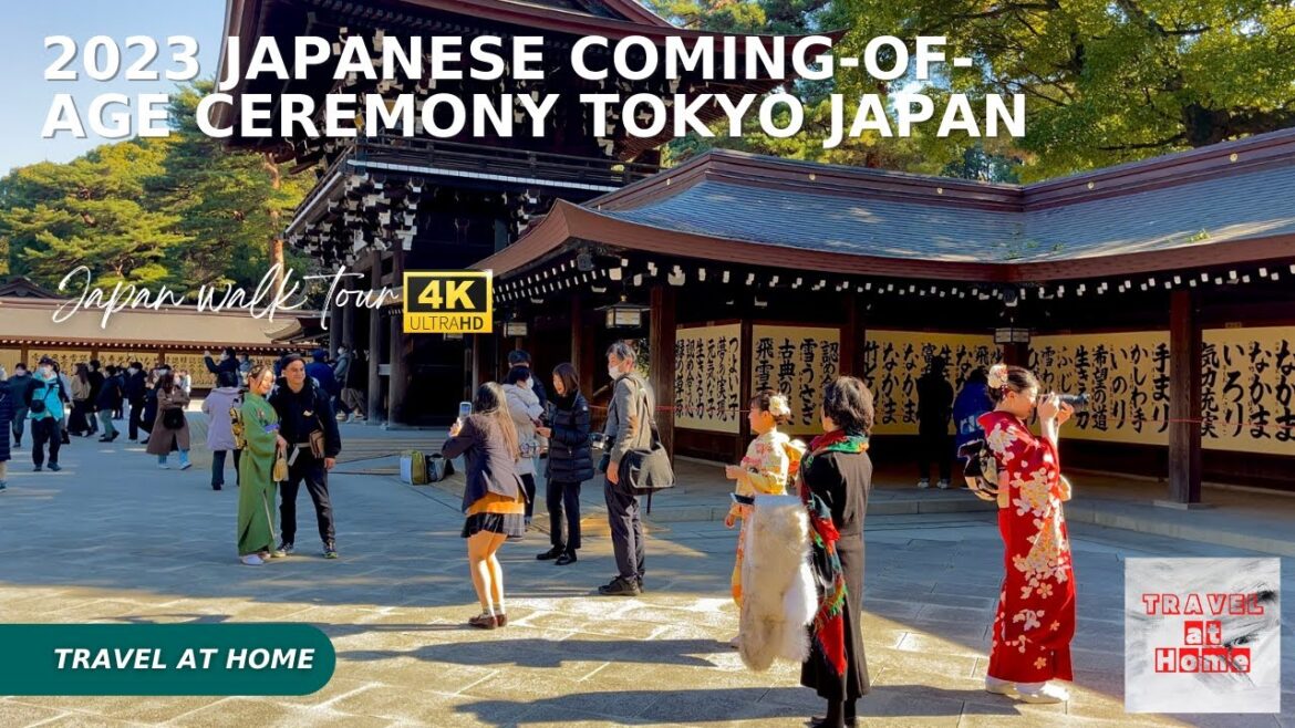 4k hdr japan walk| January 9, 2023 Japanese coming-of-age ceremony Walk in Meiji Shrine Tokyo japan 4k hdr japan walk| January 9, 2023 Japanese coming-of-age ceremony Walk in Meiji Shrine Tokyo japan