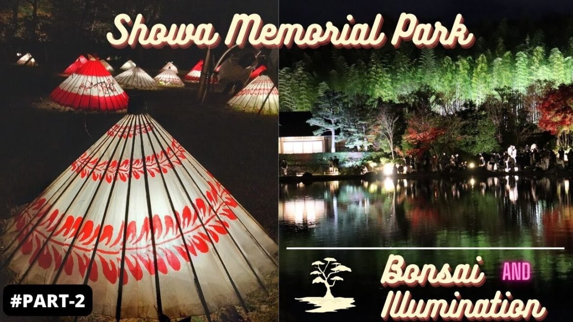 Autumn Illumination in Showa Memorial Park πππ | Part 2 – National Museum of Bonsai Autumn Illumination in Showa Memorial Park πππ | Part 2 - National Museum of Bonsai