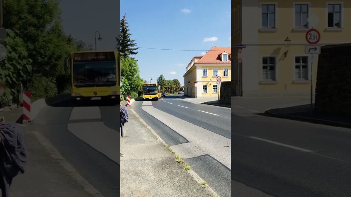 Pillnitz Castle Dresden #shorts #germany #deutschland #travel Pillnitz Castle Dresden #shorts #germany #deutschland #travel