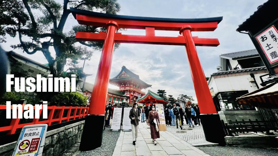 A morning in Fushimi Inari Shrine, Kyoto, Japan