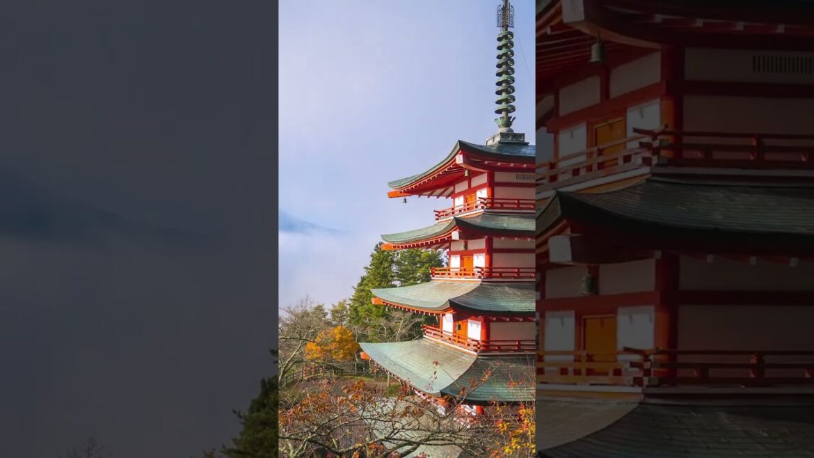 Looking to get the Best Views of Mount Fuji?#fuji #mount #japantourism