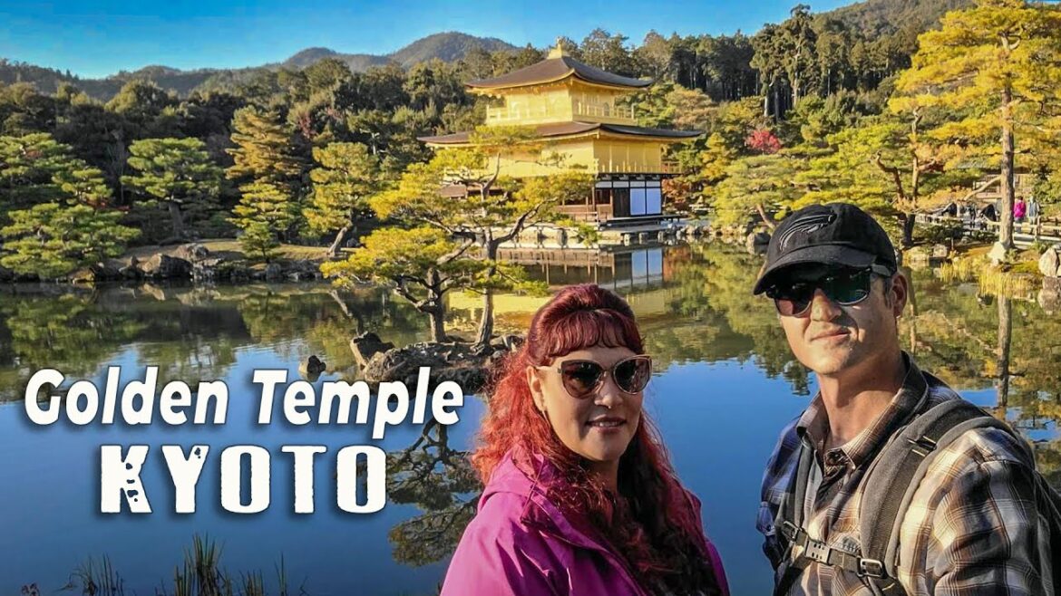 Golden Temple Kyoto | Botanical Garden | Kyoto Walking Tour