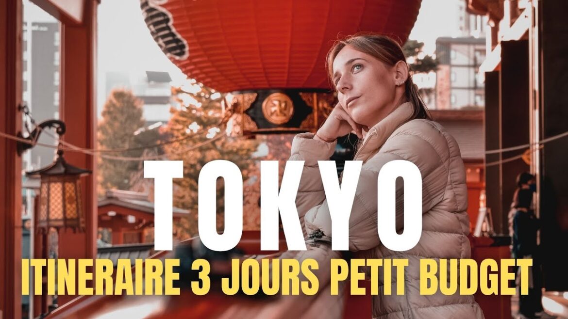 TOKYO - JAPON VOYAGE 3 JOURS - 25 choses à faire avec un PETIT BUDGET [JAPAN VLOG]
