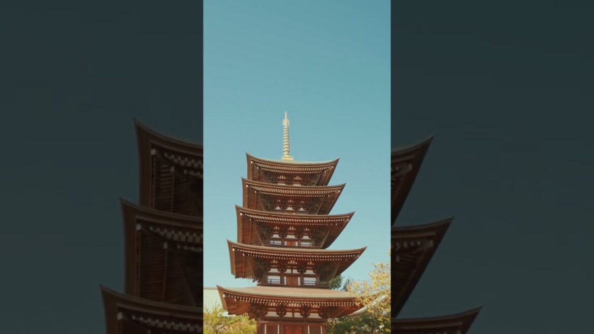 The Great Buddhist temple Nittaiji in Nagoya, Aichi Prefecture #shorts