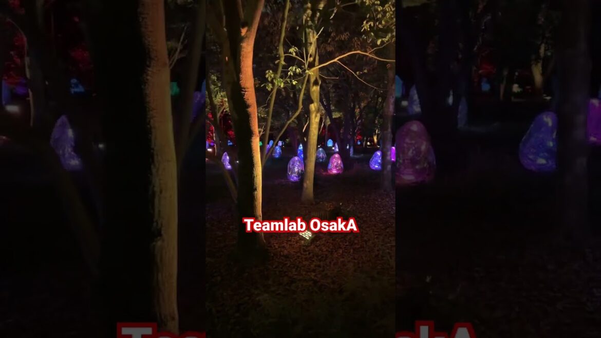 Teamlab Osaka