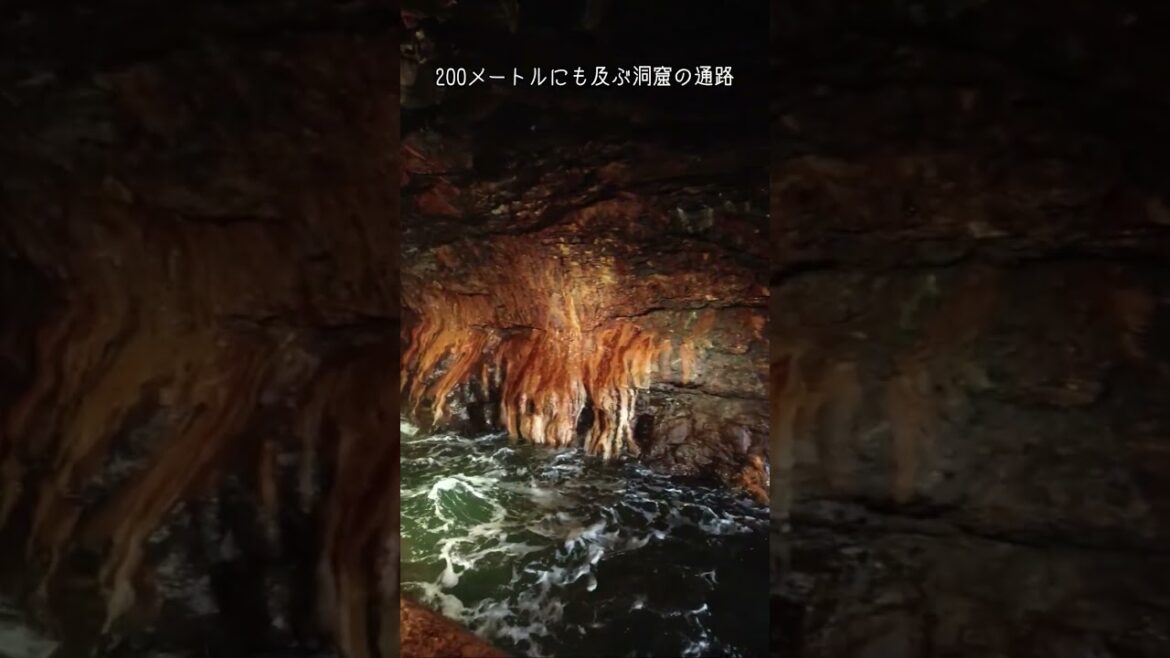 和歌山旅！日本の絶景スポット「三段壁洞窟」 Beautiful places in Japan -Sandanbeki- #shorts #tubetele_shorts