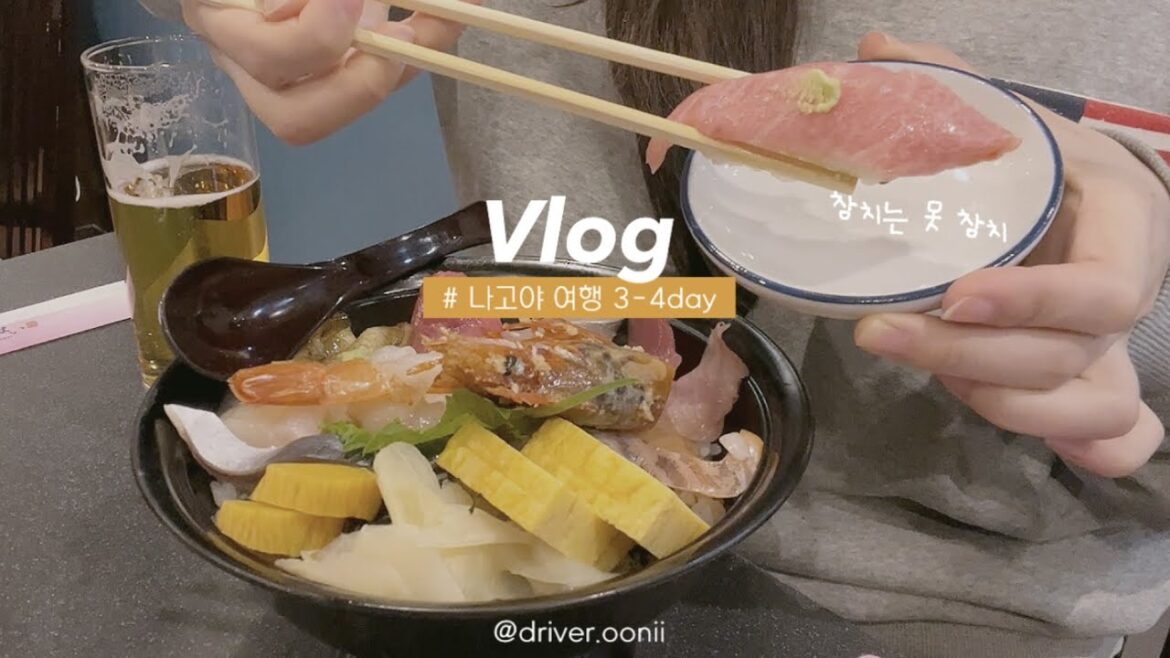 [Vlog] 나고야 노잼도시라고 누가 그럽니까?
