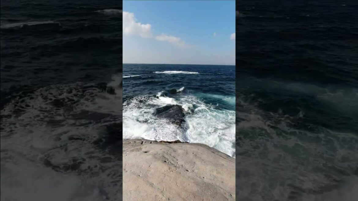 和歌山旅！日本の絶景スポット「千畳敷」 Beautiful places in Japan -Senjojiki- #shorts #tubetele_shorts