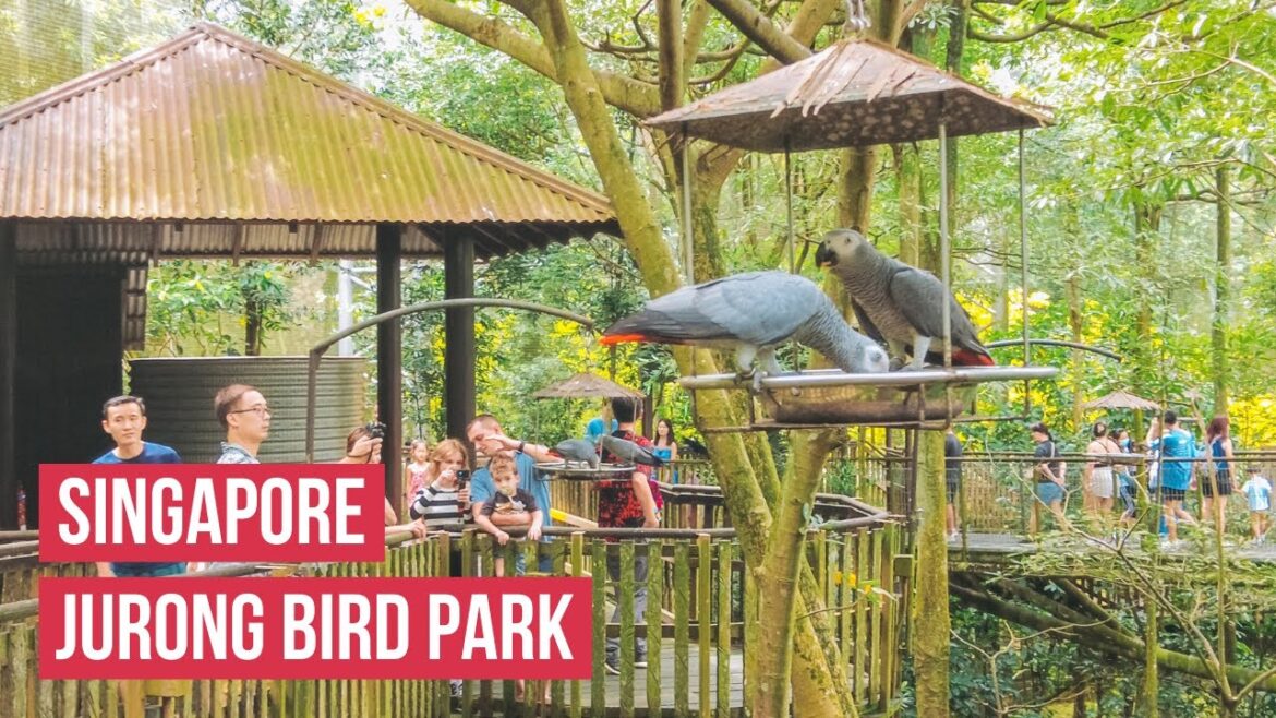 🇸🇬 Last Memories & Farewell to Jurong Bird Park 🦅 | Singapore City Walking Tour 2023 [4K HDR]