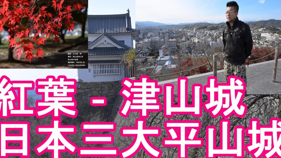 【紅葉】NikonZ9撮影！岡山県津山市‐津山城！姫路城や松山城と並ぶ日本三大平山城！Tsuyama castle in Tsuyama city in Japan
